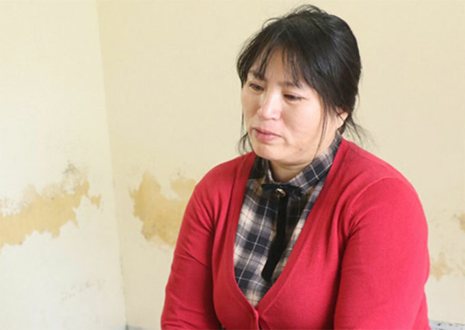 Lừa đưa người sang New Zealand