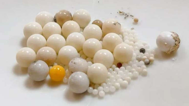 Chiêm ngưỡng xá lợi hòa thượng Tinh Vân 